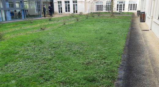 Plantation poitiers