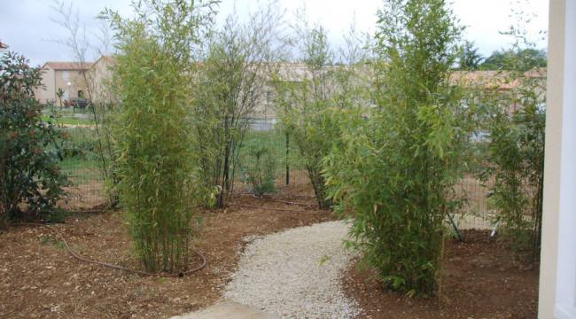 terrassement plantation poitiers